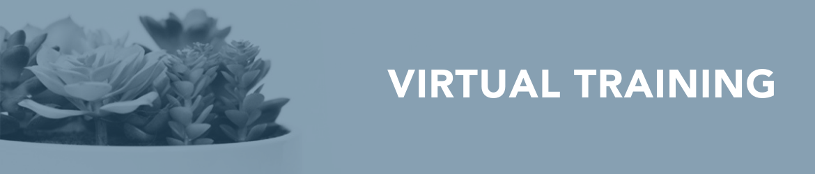 define virtual training